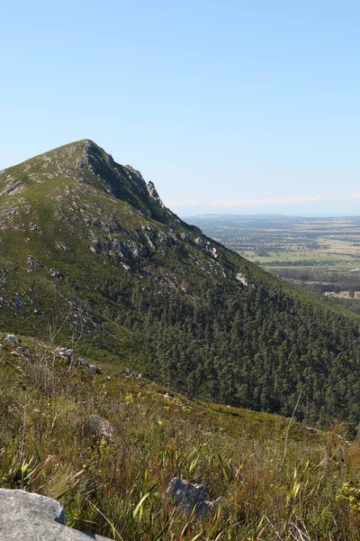 Lady Slipper Pico Montanha Perto Gqeberha África Sul Esta Uma — Fotografia de Stock