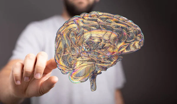 Eine Person Präsentiert Eine Darstellung Des Menschlichen Gehirns Test Und — Stockfoto
