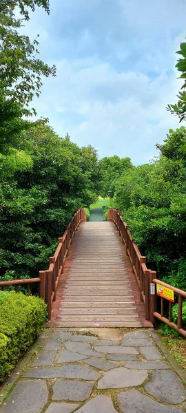 曇りの空の下 緑に覆われた公園内の小さな木製の橋の垂直ショット — ストック写真