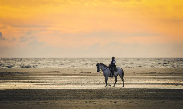 Tarifa Espanha Outubro 2020 Homem Cavalo Playa Los Lances Durante — Fotografia de Stock