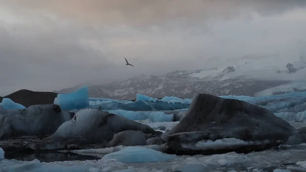 Úžasný Výhled Ledovcovou Lagunu Jokulsarlon Islandu — Stock fotografie