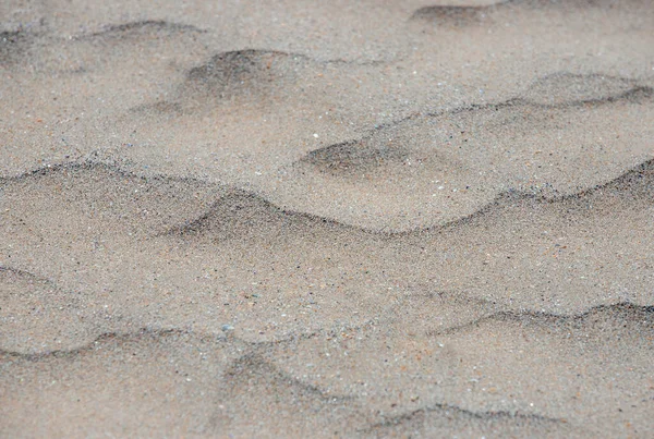 Крупный План Небольших Песчаных Дюн Пляже — стоковое фото