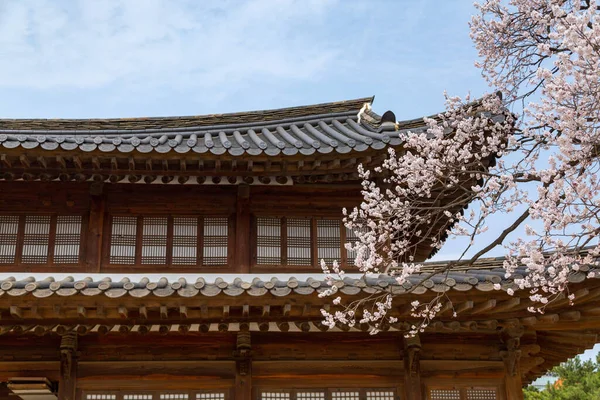 서울에서 꽃피는 나무가 동궁의 — 스톡 사진