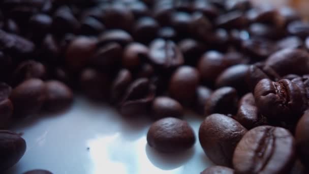 Gebrande Koffiebonen Vallen Witte Plaat Van Dichtbij Bekeken — Stockvideo