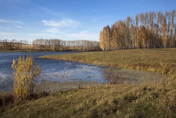 黄金の秋の間に川岸の白樺林の景色 — ストック写真