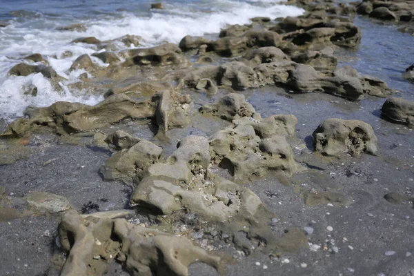 지역인 플로리다주 바다에 침식되어 스톤에서 파도가 암석에 부딪침 — 스톡 사진