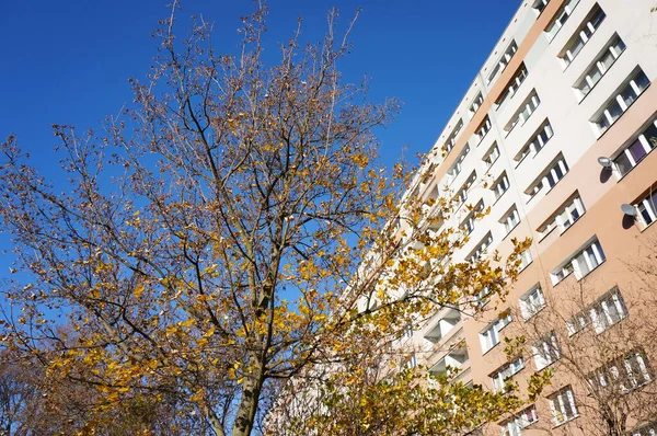 Immeuble Pierre Sous Ciel Près Des Arbres — Photo