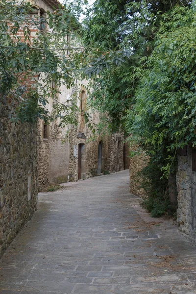 Monells Gerona Spanya Güzel Binalar Bitkilerle Dolu Boş Bir Caddenin — Stok fotoğraf