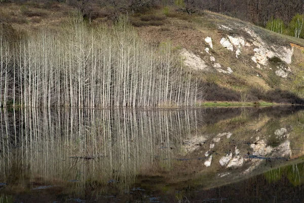 Calm Lake Reflection Bare Trees Water — Stock Photo, Image