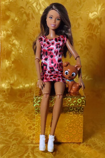 Greenville Estados Unidos Ago 2021 Uma Boneca Barbie Morena Brinquedo — Fotografia de Stock