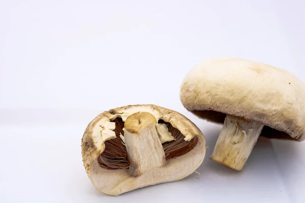 Eine Nahaufnahme Eines Champignon Pilzes Isoliert Auf Weißem Studiohintergrund — Stockfoto