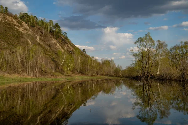 Спокойное Озеро Отражением Голых Деревьев Воде Облачным Небом — стоковое фото