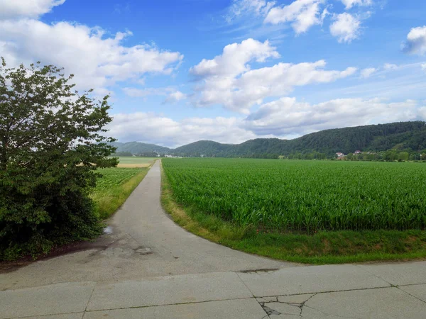 Une Route Dans Les Champs Allant Village — Photo