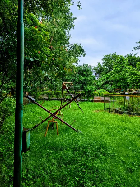 Een Verticaal Shot Van Een Heldere Zomerdag Een Park Met — Stockfoto