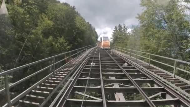 Trilhos Ferroviários Floresta — Vídeo de Stock