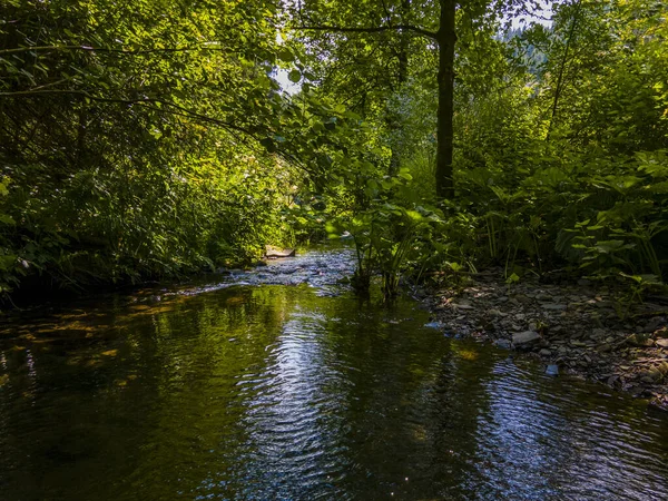 Une Belle Rivière Dans Une Forêt Verte — Photo