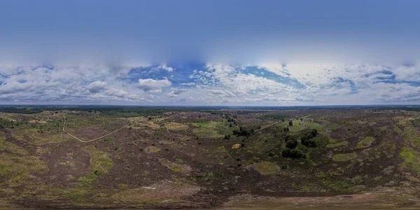 Heather Moorland 360 Fokos Légi Panoráma Természetvédelmi Terület Sallandse Heuvelrug — Stock Fotó