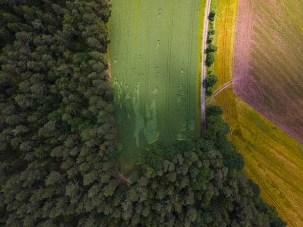 Vzdušná Krajina Čerstvých Zemědělských Pozemků — Stock fotografie