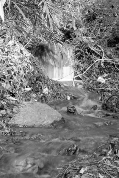 Eine Vertikale Aufnahme Eines Wasserfalls Graustufen — Stockfoto