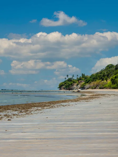 Вид Пляж Літній День Марагогі Алагоас — стокове фото