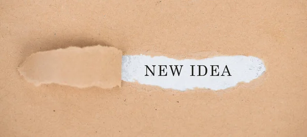 Parole Nuove Idee Piedi Uno Sfondo Bianco Strappato Carta Strutturata — Foto Stock