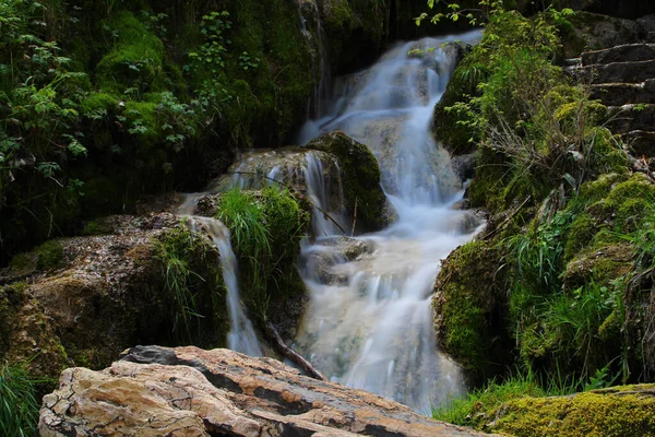 Uma Bela Cachoeira Uma Floresta — Fotografia de Stock