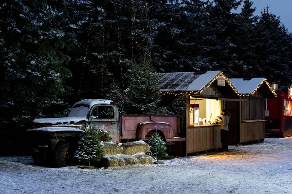 Los Árboles Navidad Nevados Patio Noche Invierno — Foto de Stock