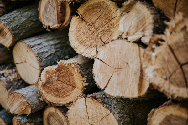 堆放的干柴原木的背景 — 图库照片