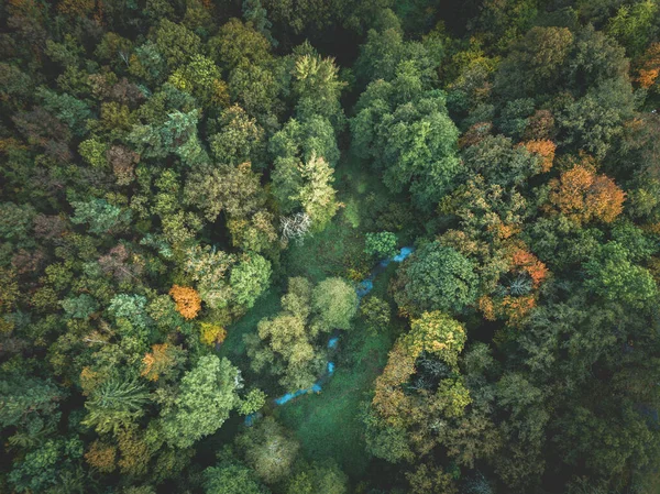 Bunte Bäume Herbst Von Oben — Stockfoto