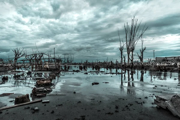 Paysage Ruines Construction Entouré Arbres Nus Dans Étang Sous Ciel — Photo