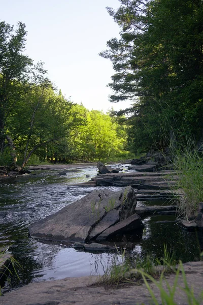 Una Hermosa Vista Río Bosque —  Fotos de Stock