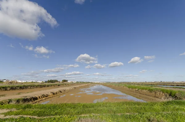 Vista Uma Lagoa Evaporação Sal Tavira Portugal — Fotografia de Stock