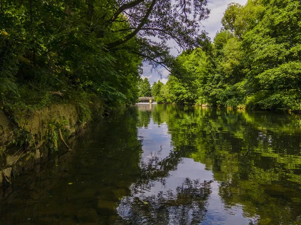 Spokojna Rzeka Zielonym Lesie — Zdjęcie stockowe