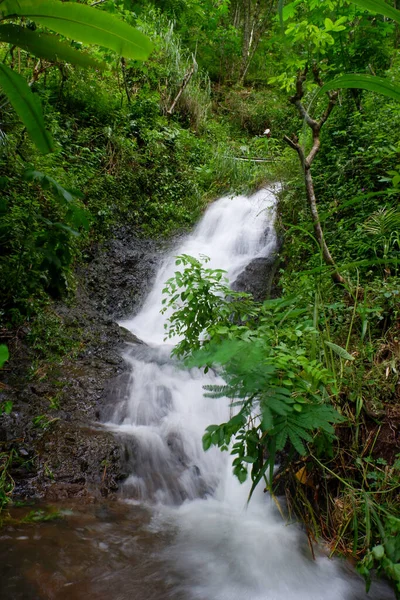 Pionowe Ujęcie Pięknego Wodospadu Lesie — Zdjęcie stockowe