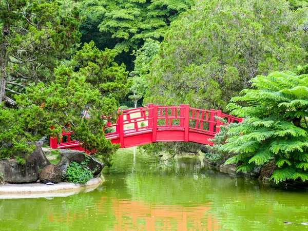 View Red Bridge River Beautiful Forest — Stock Photo, Image