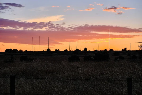 Piękny Strzał Trawiastego Pola Podczas Zachmurzonego Zachodu Słońca Niebo — Zdjęcie stockowe