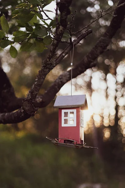 Close Uma Pequena Casa Pendurada Uma Árvore — Fotografia de Stock