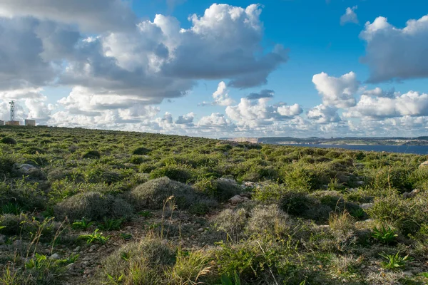 Mellieha Malta Jan 2021 Kilátás Sziget Gozo Tetejéről Sziklák Mellieha — Stock Fotó