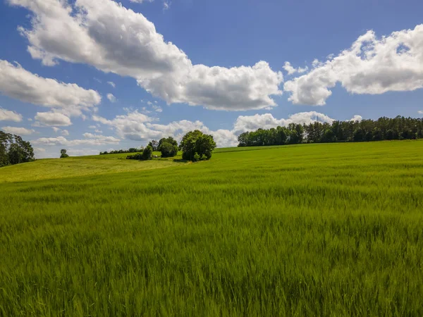 Een Landschap Van Verse Landbouwgronden — Stockfoto