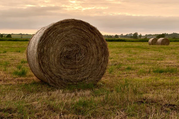 Rund Höbale Ett Fält Vid Solnedgången — Stockfoto