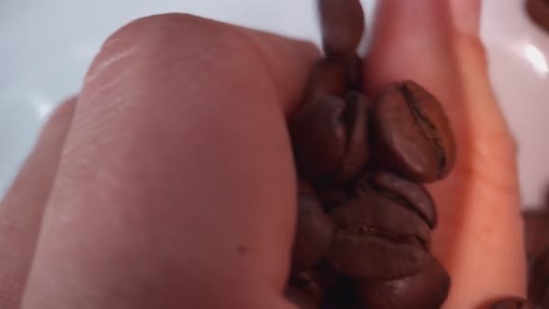 Close Footage Coffee Beans — Stock Video