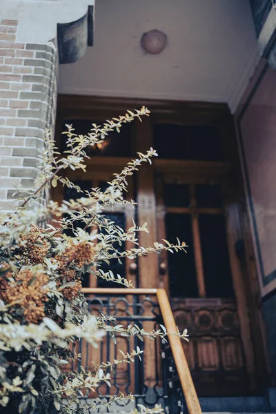 Vertical Shot Flowering Plant Unfocused Vintage Wooden Door Background — Stock Photo, Image