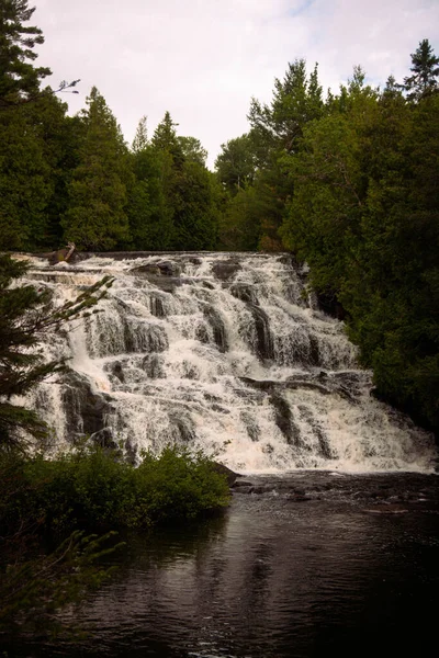 森の中の滝の美しい垂直ショット — ストック写真