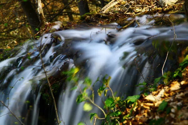 Ett Vackert Vattenfall Skog — Stockfoto