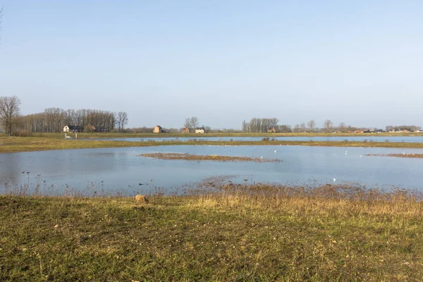 Kessenich Belgium Jan 2018 Rivierpark Maasvallei River Park Maasvallei Naturpark – stockfoto