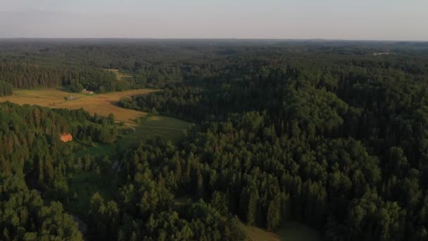 Sabahları Ormanın Havadan Görünüşü — Stok video