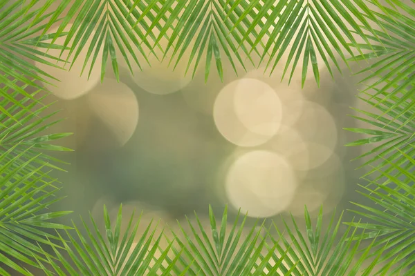 Arka Planda Bokeh Daireleri Olan Bir Palmiye Yaprağı Çerçevesi — Stok fotoğraf