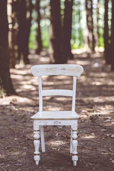 Gündüz Vakti Ormanda Eski Tahta Bir Sandalyenin Dikey Görüntüsü — Stok fotoğraf
