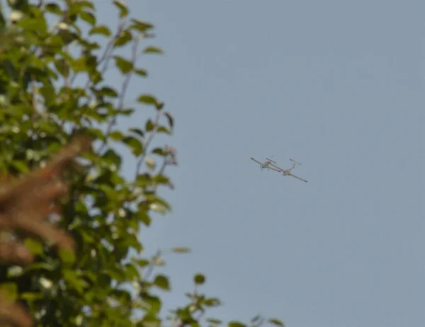 Een Lage Hoek Opname Van Twee Vliegtuigen Lucht Planten Voorgrond — Stockfoto