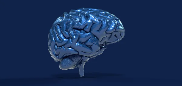 Een Veelhoekige Hersenillustratie Een Blauwe Achtergrond — Stockfoto